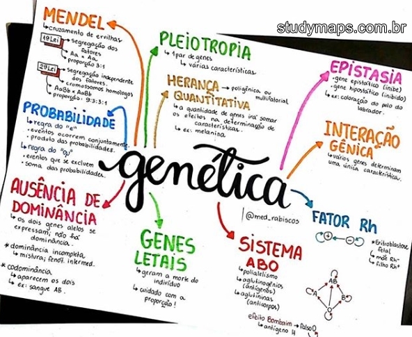 Mapa Mental Genetica Conceitos Basicos Mapa Mental Pl Vrogue Co