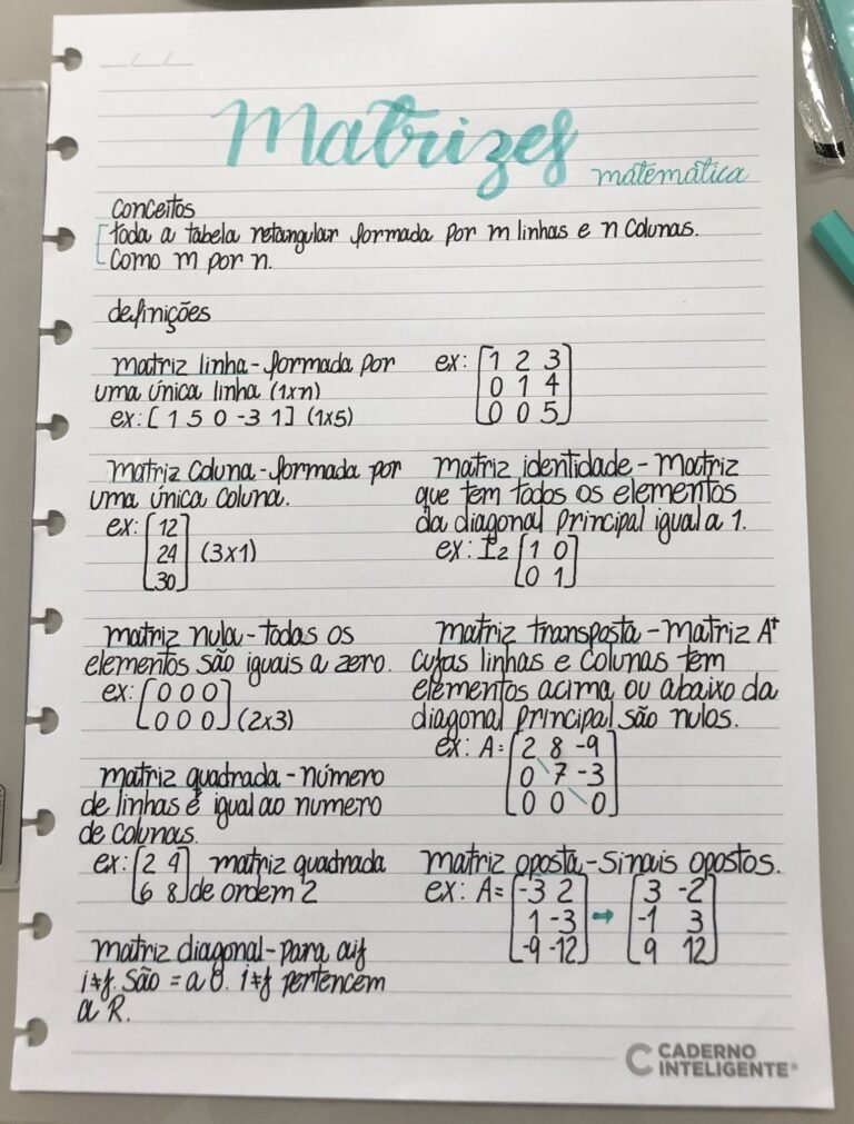 MAPA MENTAL SOBRE MATRIZES STUDY MAPS