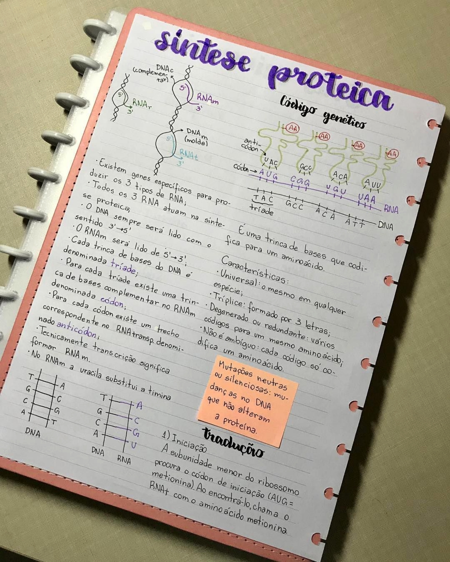 Mapa Mental Sobre S Ntese Proteica Study Maps