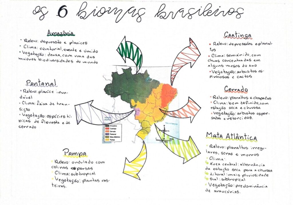 MAPA MENTAL SOBRE BIOMAS BRASILEIROS STUDY MAPS