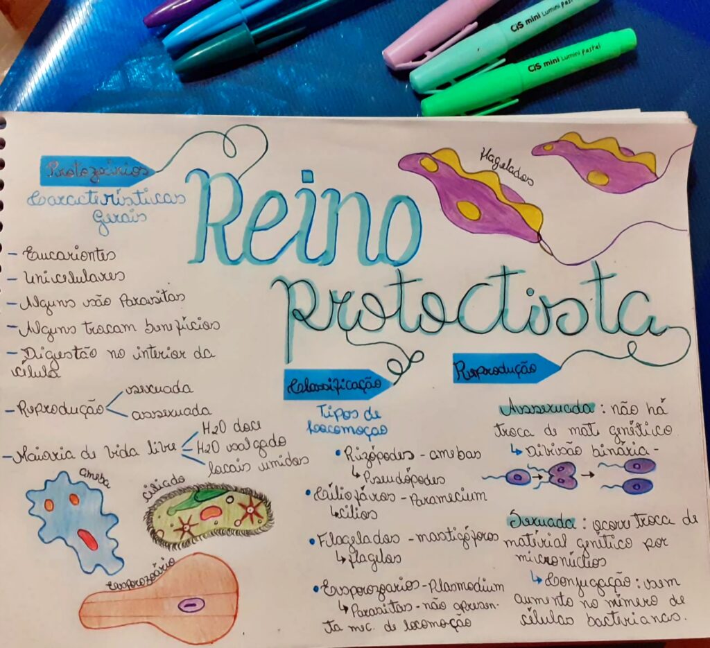 Mapa Mental Sobre Reino Protista Study Maps