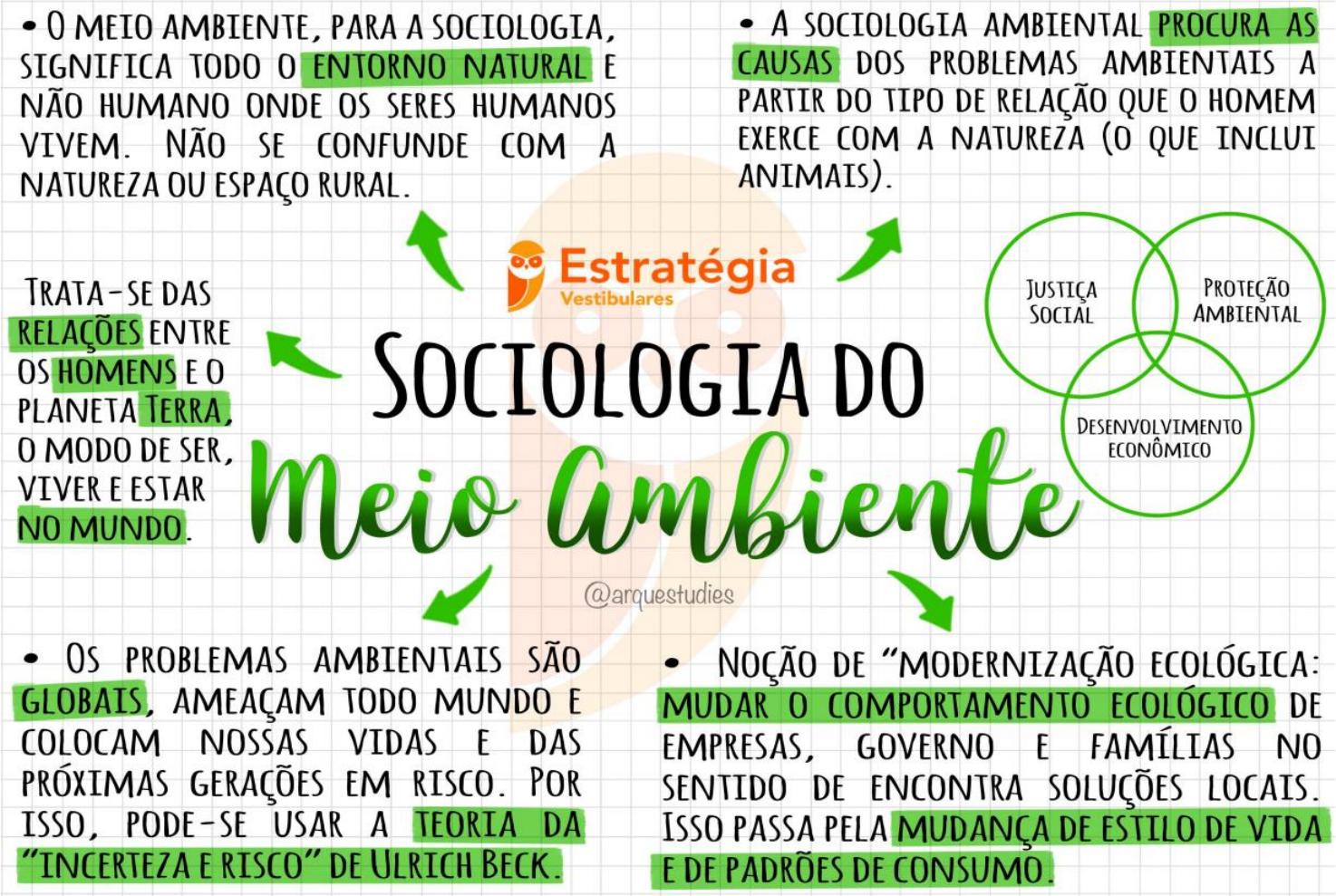 MAPA MENTAL MEIO AMBIENTE STUDY MAPS