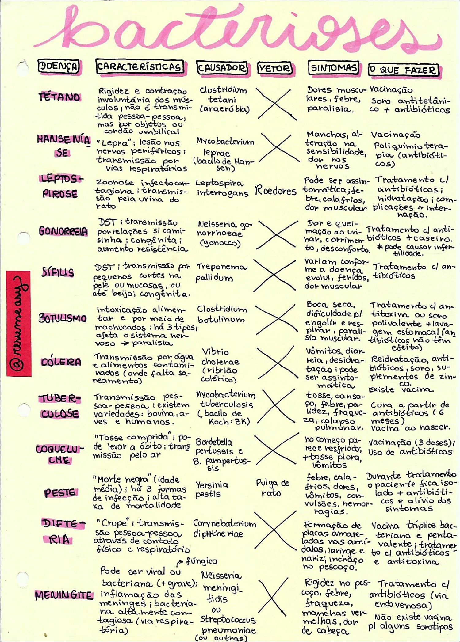 Mapas Mentais Sobre Doen As Bacterianas Study Maps