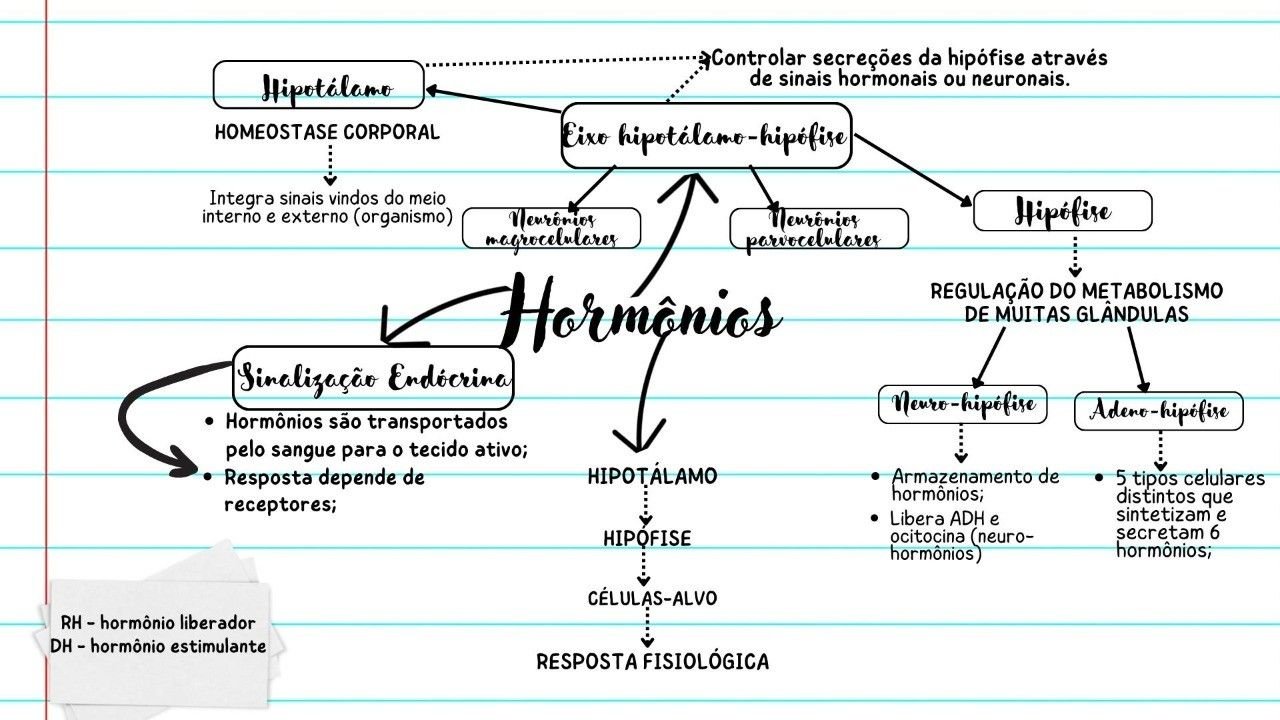 Mapas Mentais sobre HORMÔNIOS Study Maps