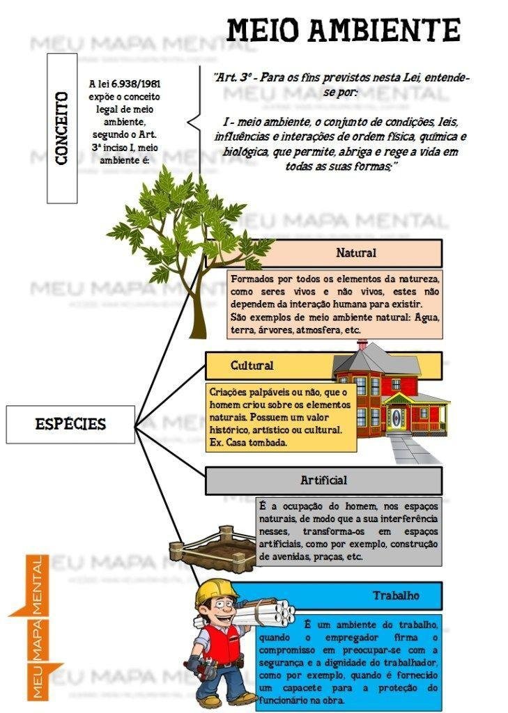 Mapas Mentais Sobre Meio Ambiente Study Maps