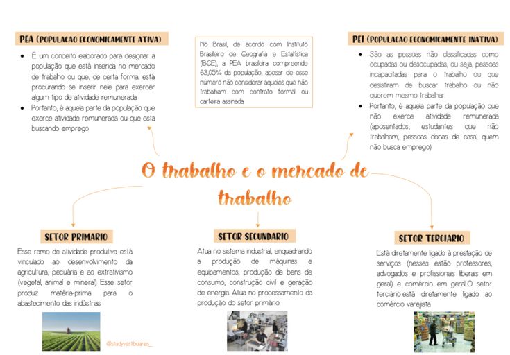 Mapas Mentais Sobre Mercado De Trabalho Study Maps