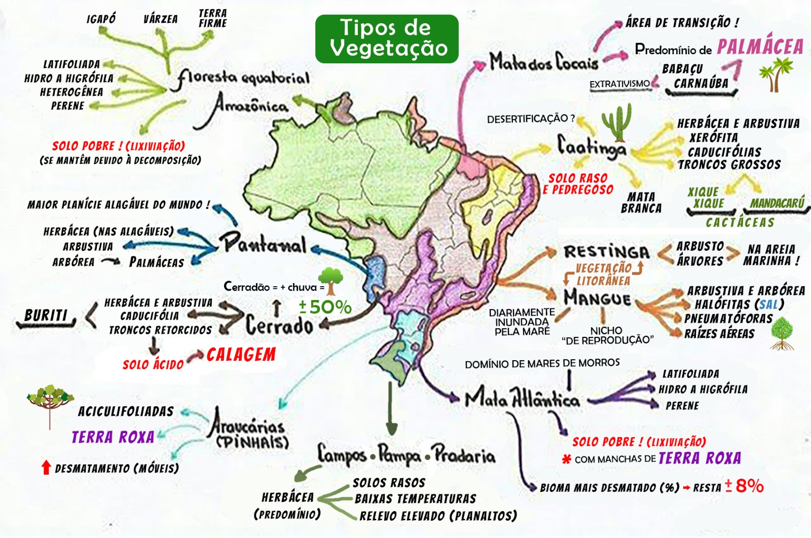 Mapas Mentais sobre VEGETAÇÃO DO BRASIL Study Maps