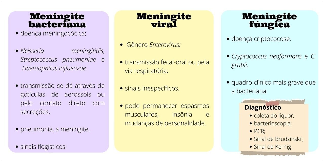 Mapas Mentais Sobre MENINGITE Study Maps