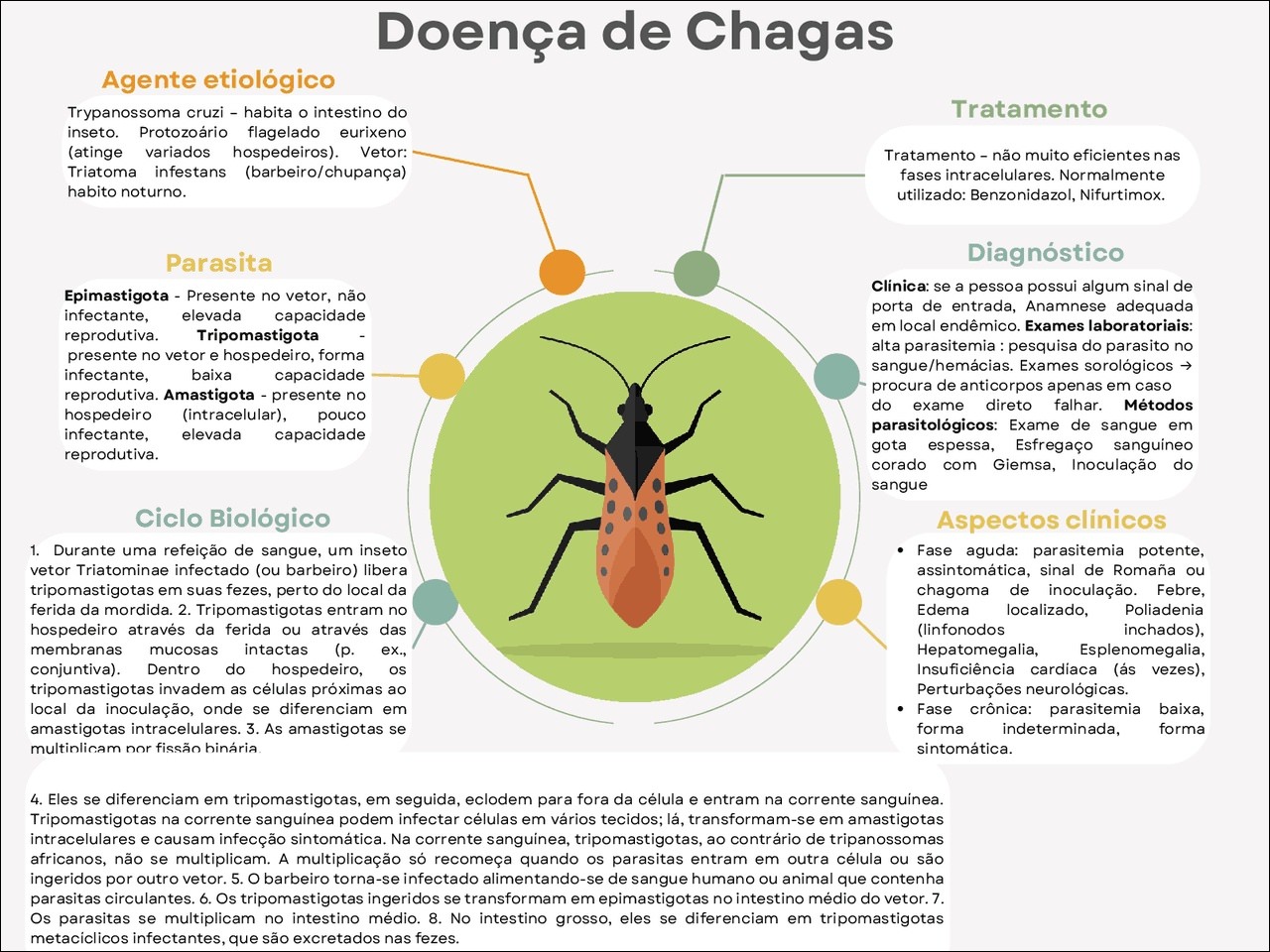 Mapas Mentais sobre DOENÇA DE CHAGAS Study Maps