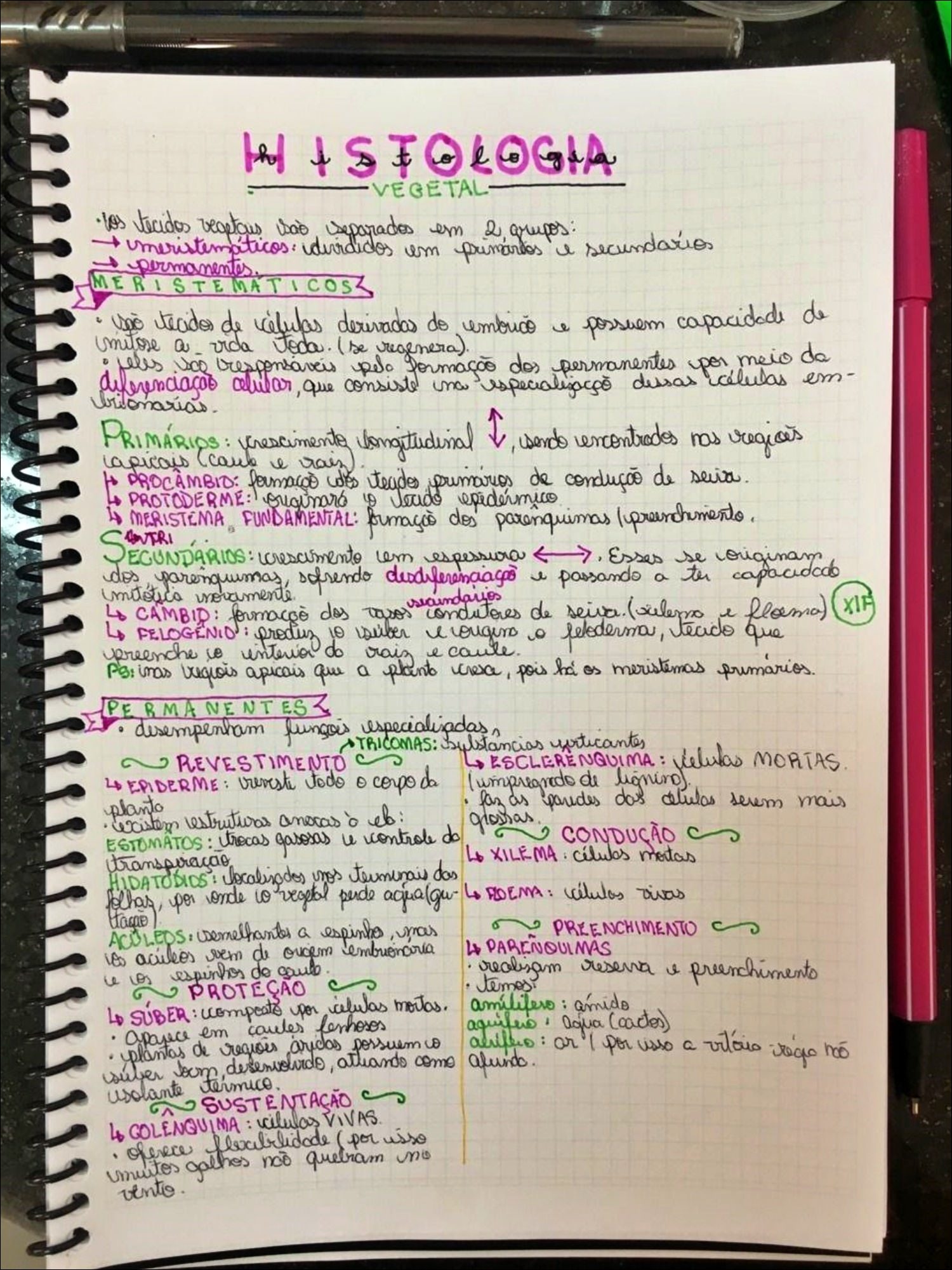 Mapas Mentais Sobre HISTOLOGIA VEGETAL Study Maps