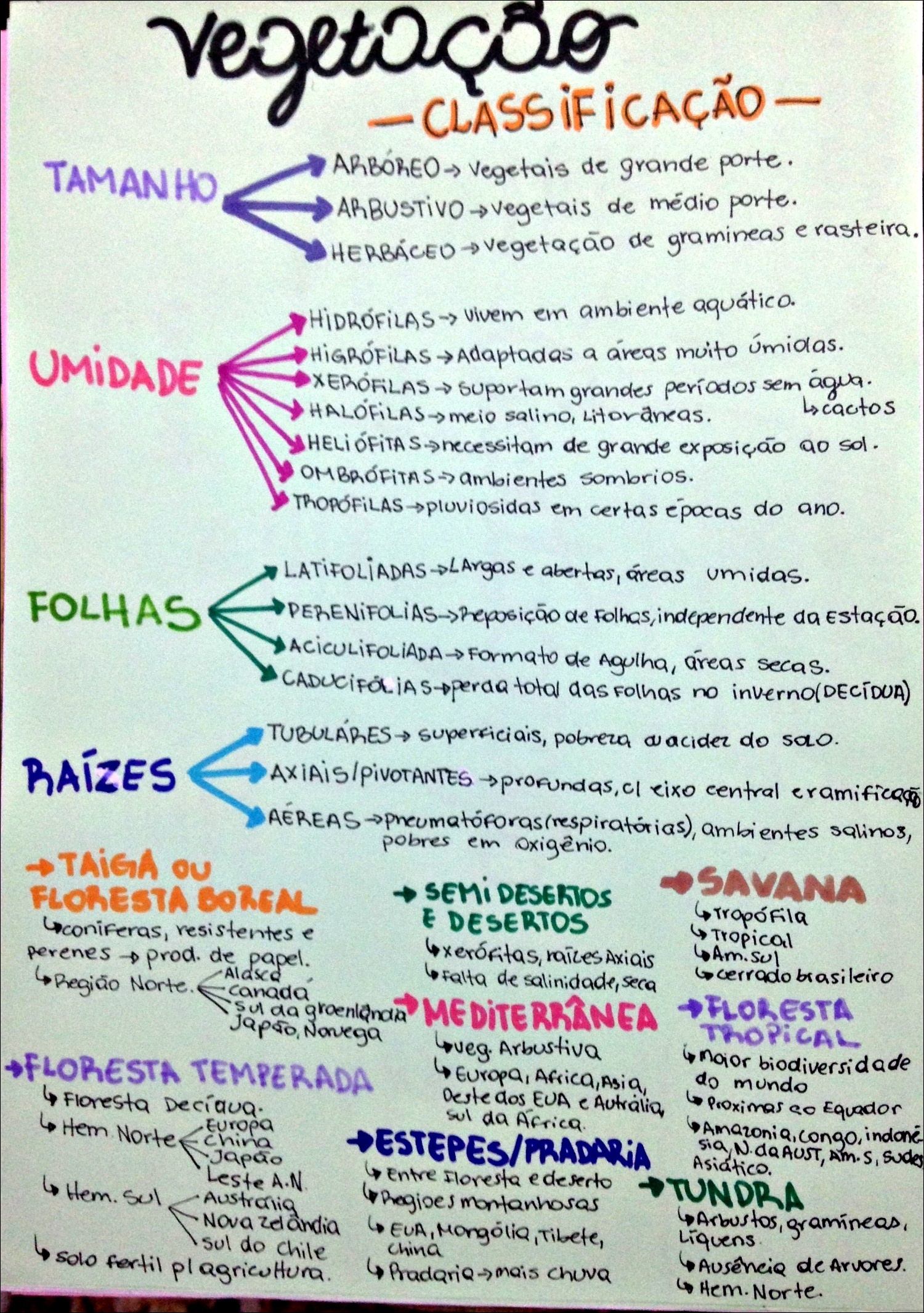 Mapa Mental sobre CLASSIFICAÇÃO DA VEGETAÇÃO Study Maps