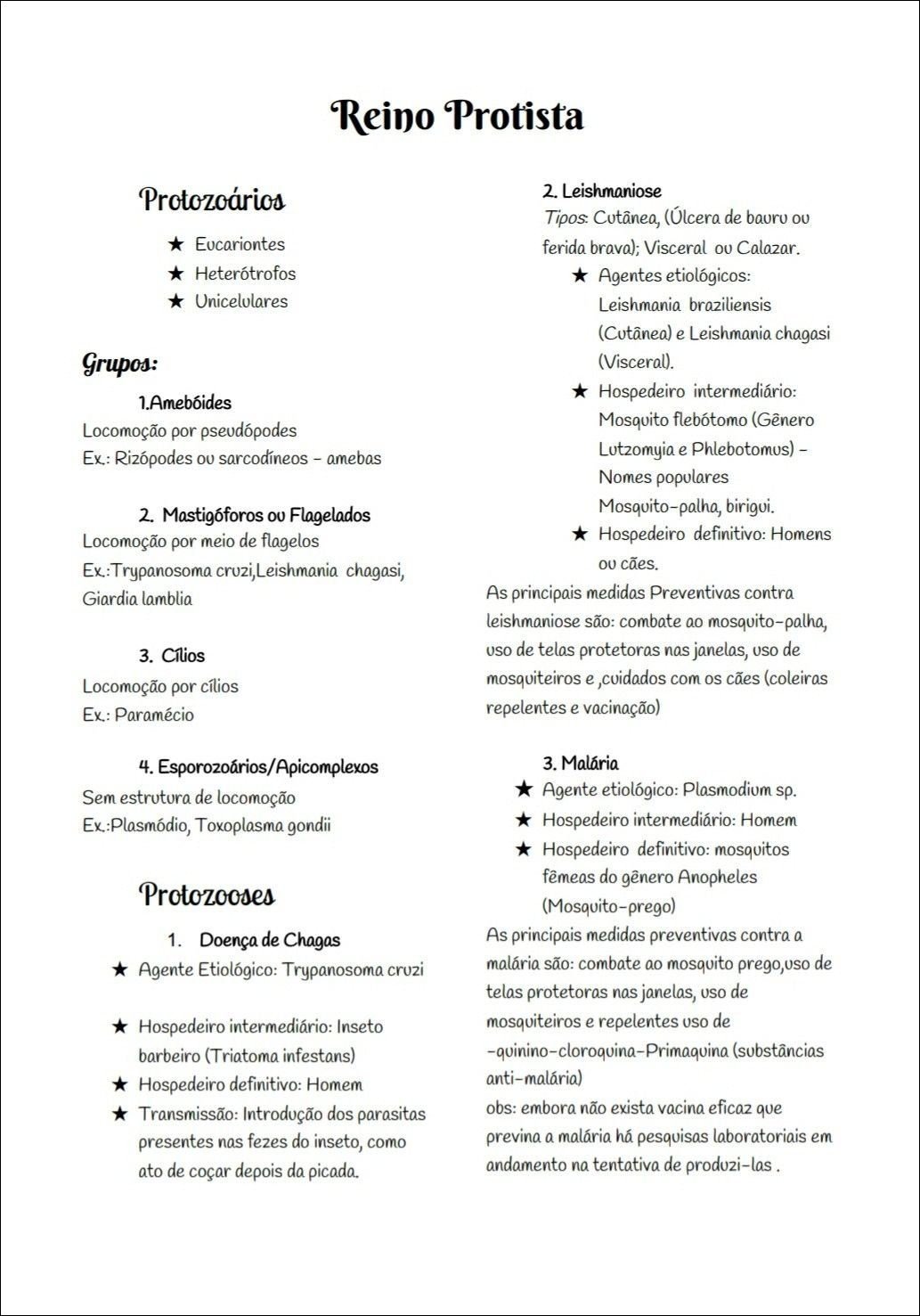 Mapas Mentais Sobre Reino Protista Study Maps