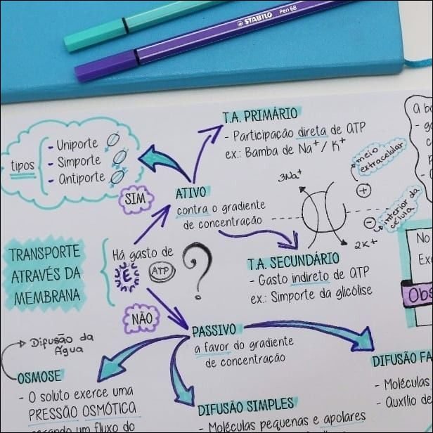 Mapas Mentais Sobre Transporte Atrav S Da Membrana Study Maps