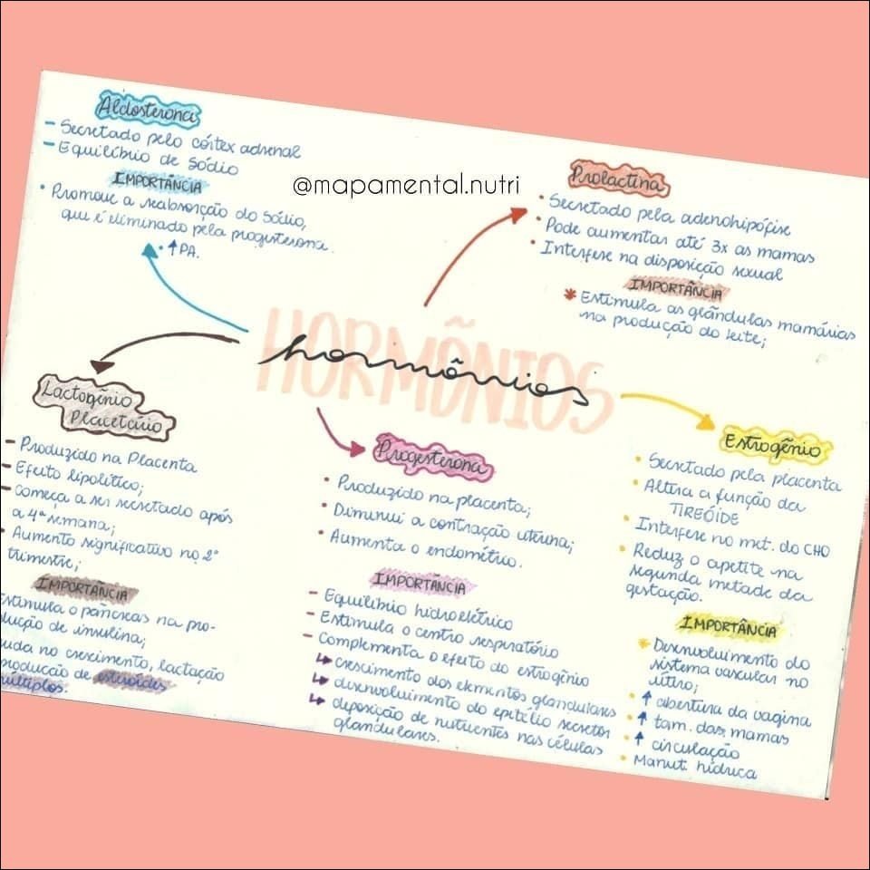 Mapas Mentais Sobre Horm Nios Study Maps