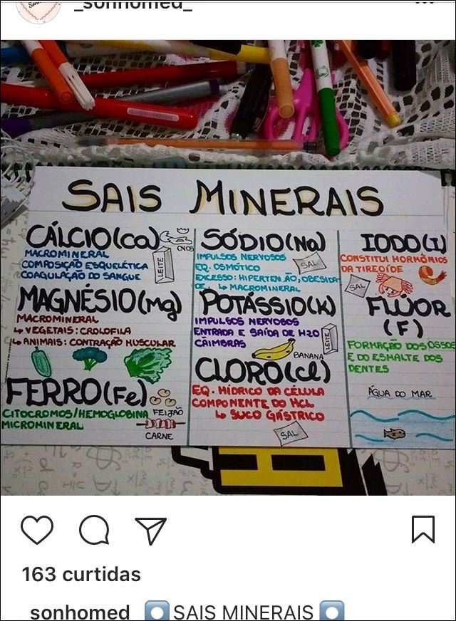 Mapas Mentais Sobre Sais Minerais Study Maps