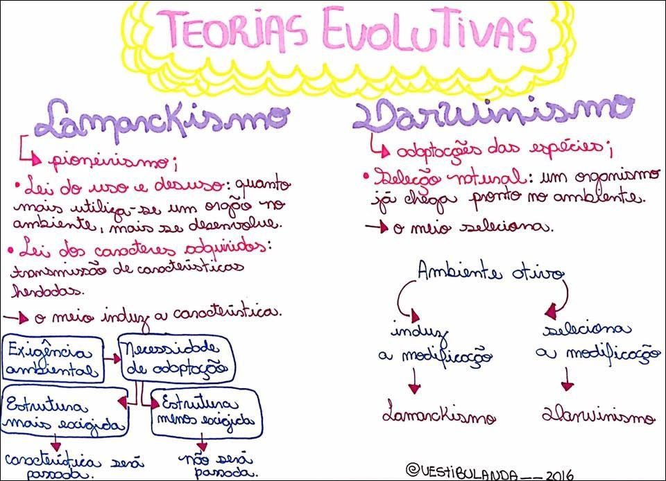 Mapas Mentais Sobre Teorias Evolutivas Study Maps