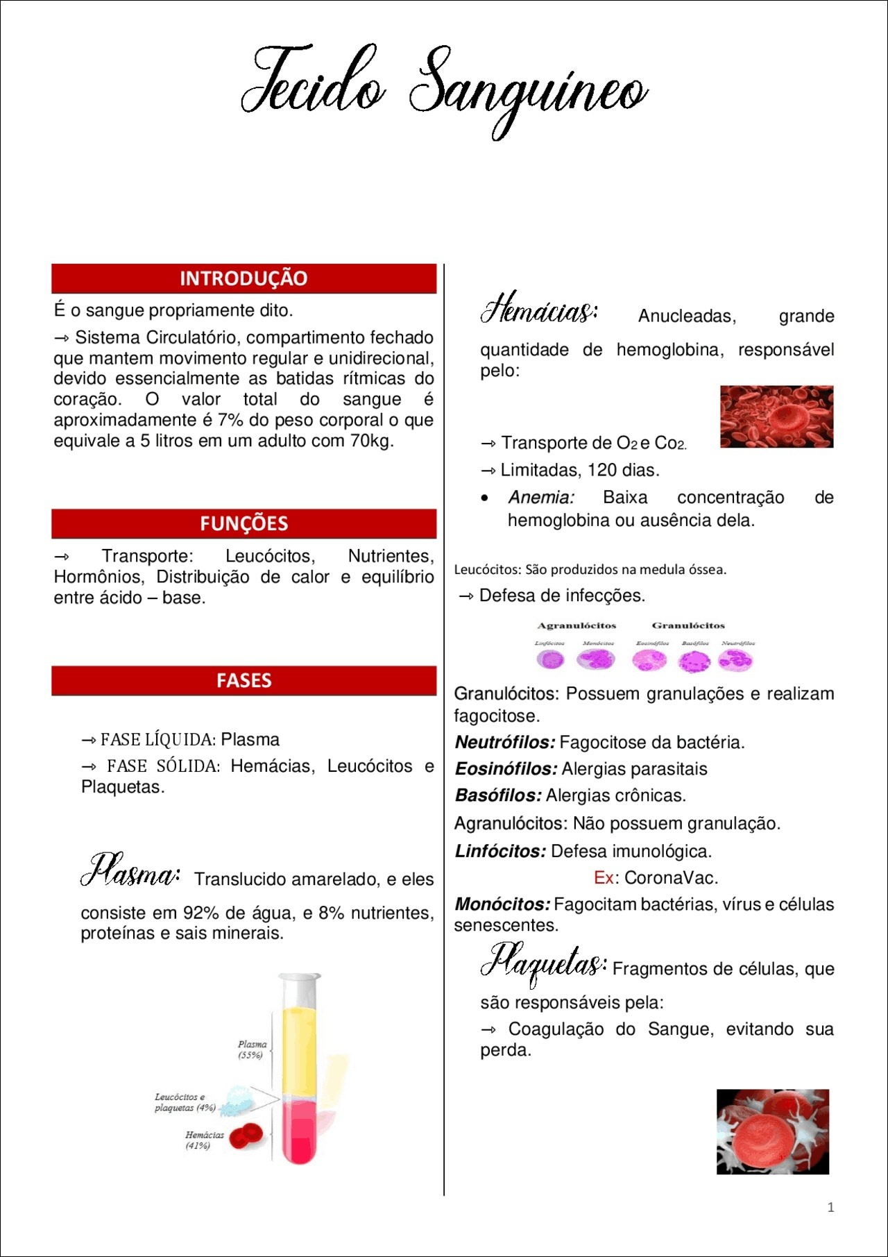 Mapas Mentais Sobre Tecido Sangu Neo Study Maps