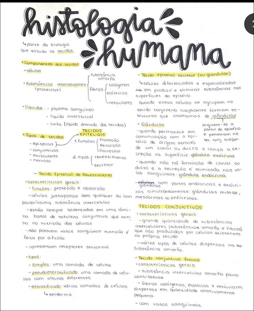 Mapas Mentais Sobre HISTOLOGIA Study Maps