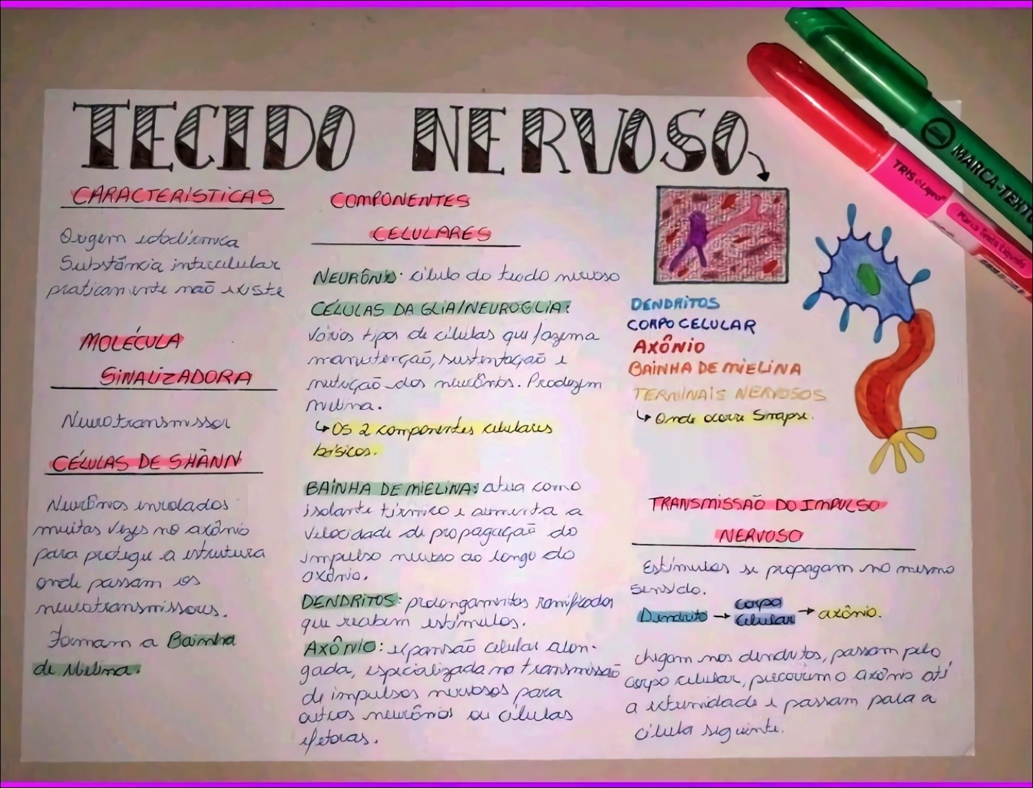 Mapas Mentais Sobre Tecido Nervoso Study Maps