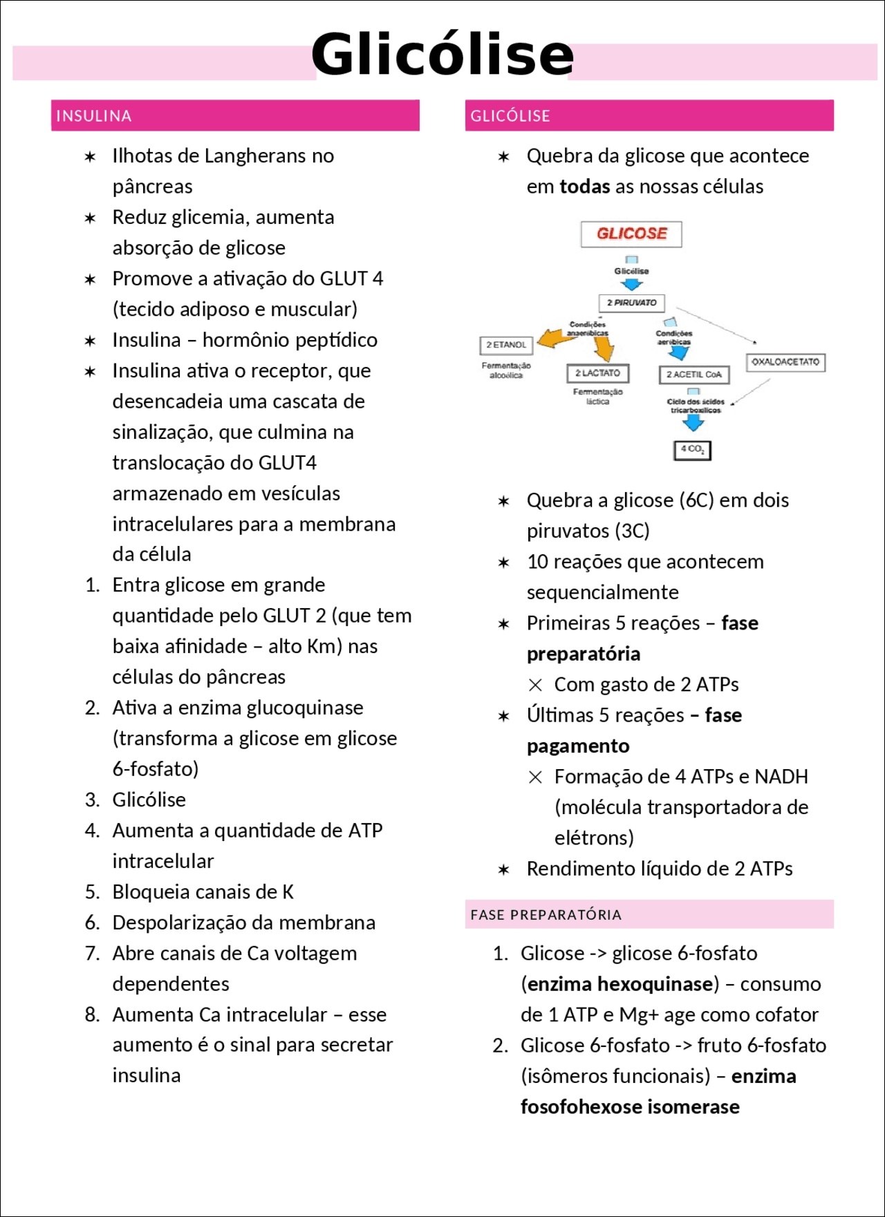 Mapas Mentais Sobre Glicose Study Maps