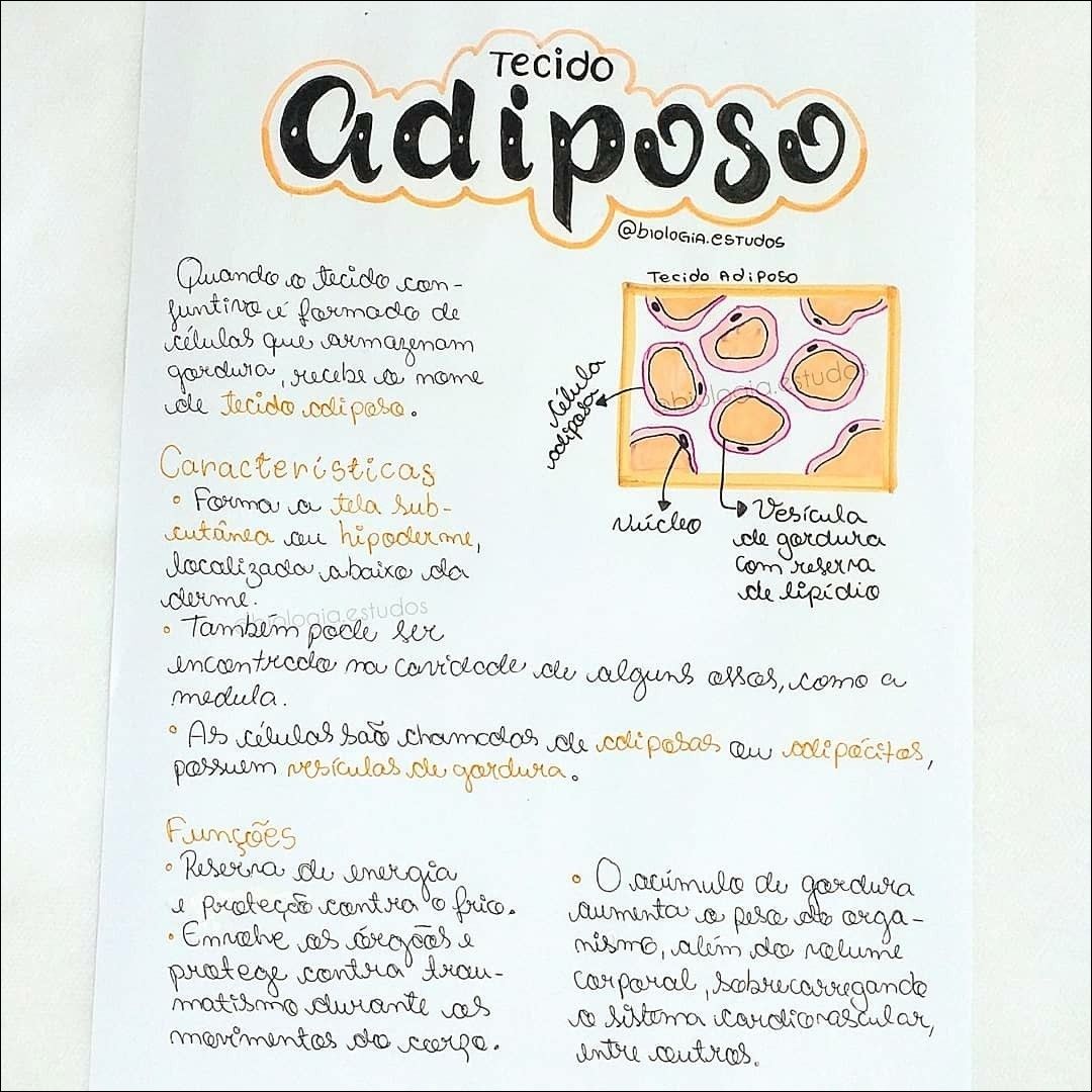 Mapas Mentais Sobre Tecido Adiposo Study Maps