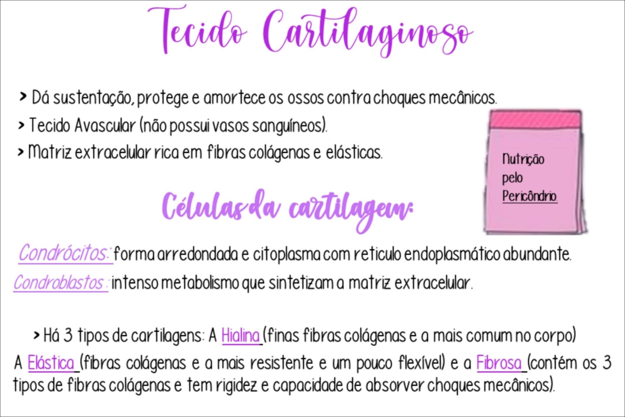 Mapas Mentais Sobre TECIDO CARTILAGINOSO Study Maps