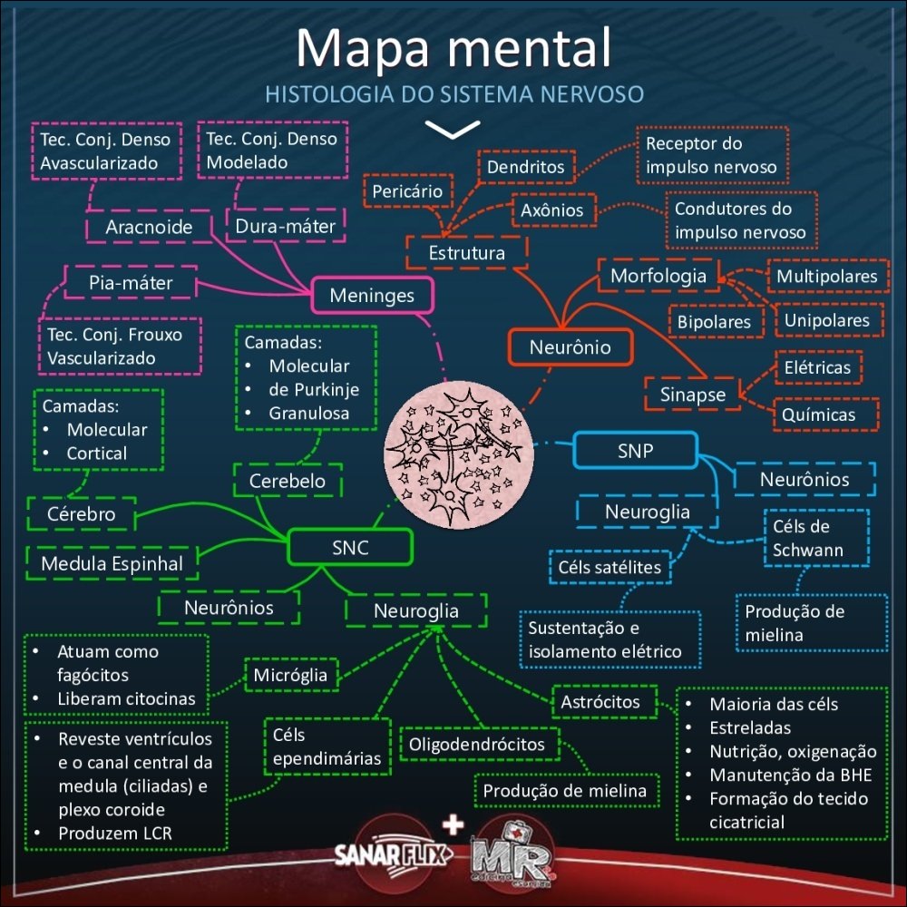 Mapas Mentais Sobre Sistema Nervoso Study Maps