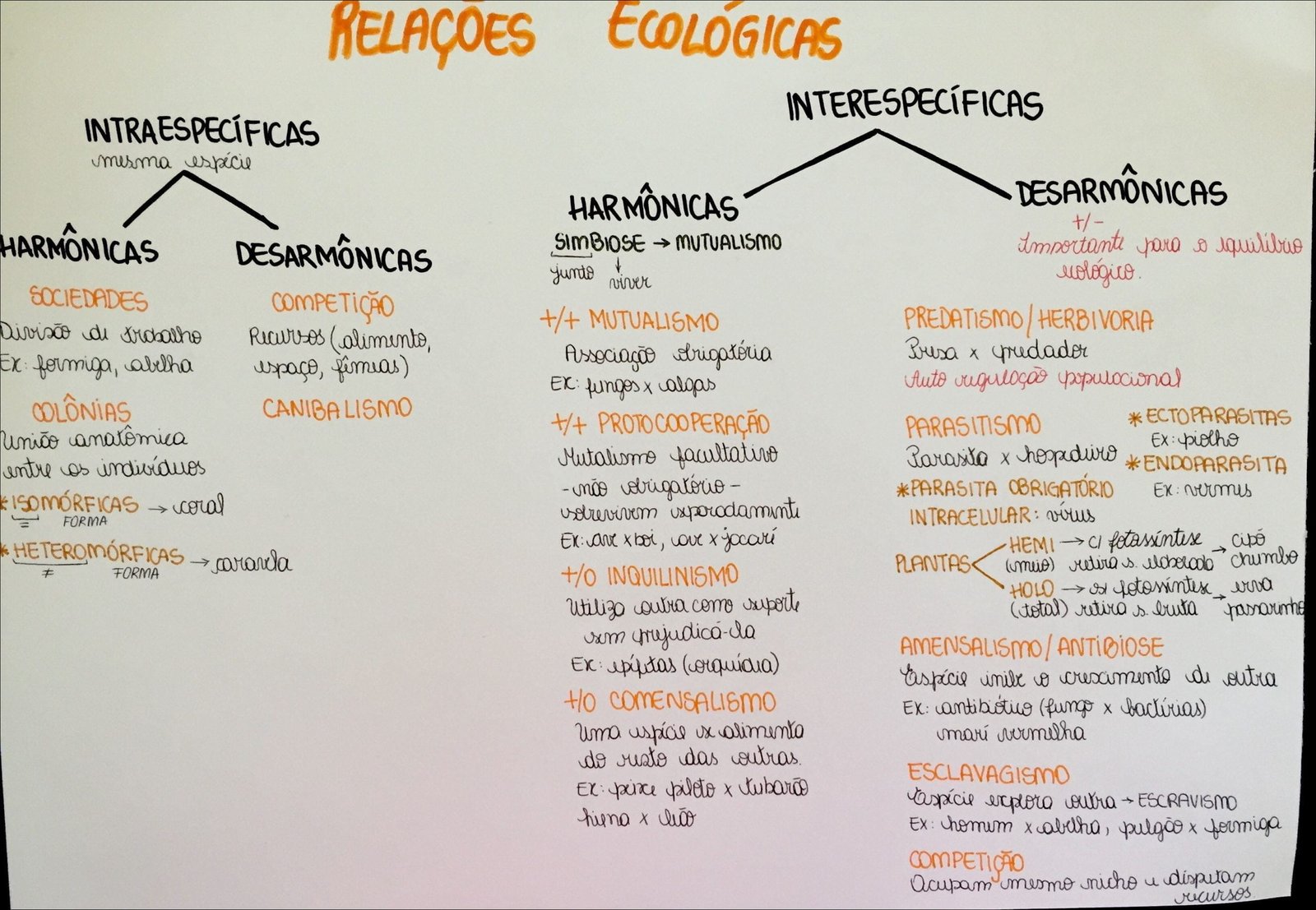 Mapas Mentais Sobre Rela Es Ecol Gicas Study Maps