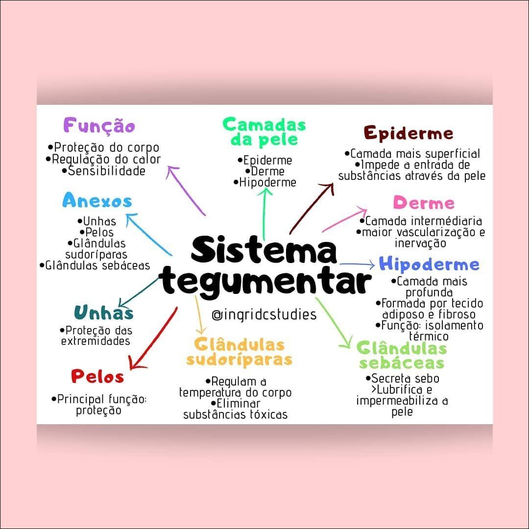 Mapas Mentais Sobre Sistema Tegumentar Study Maps