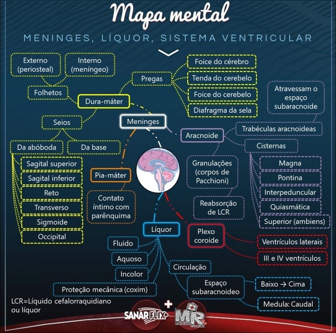 Mapas Mentais Sobre Sistema Nervoso Study Maps