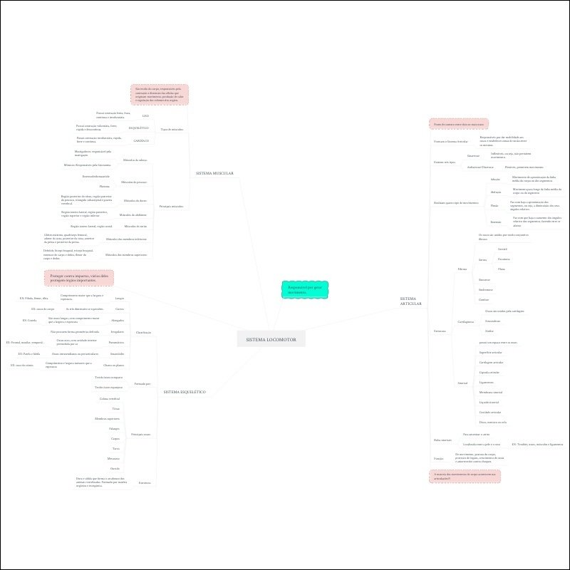 Mapas Mentais Sobre Sistema Locomotor Study Maps