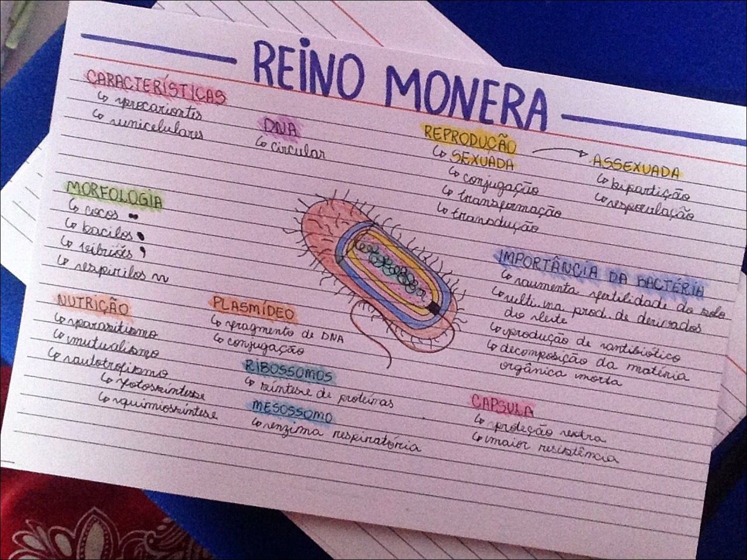 Mapas Mentais Sobre Reino Monera Study Maps