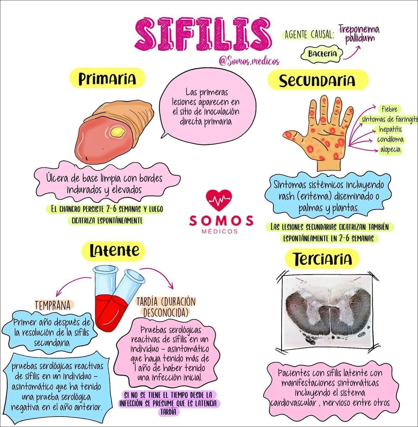 Mapas Mentais Sobre Sifilis Study Maps