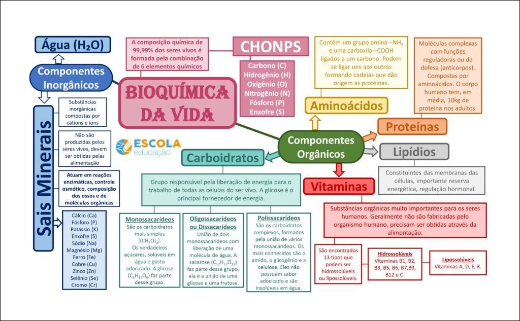 Mapas Mentais Sobre Composi O Qu Mica Dos Seres Vivos Study Maps