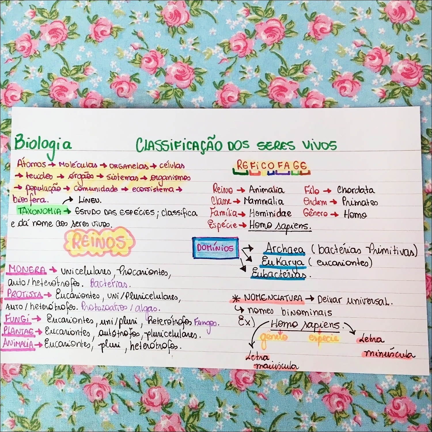 Mapas Mentais Sobre Classifica O Dos Seres Vivos Study Maps