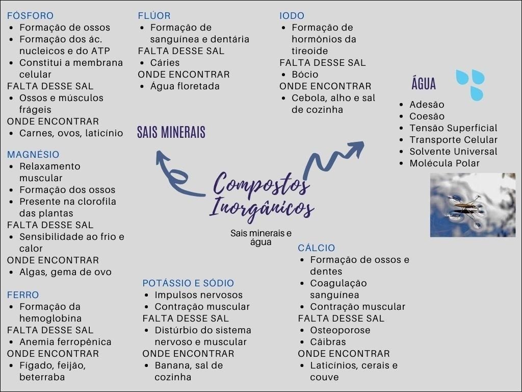 Mapas Mentais Sobre SAIS MINERAIS Study Maps