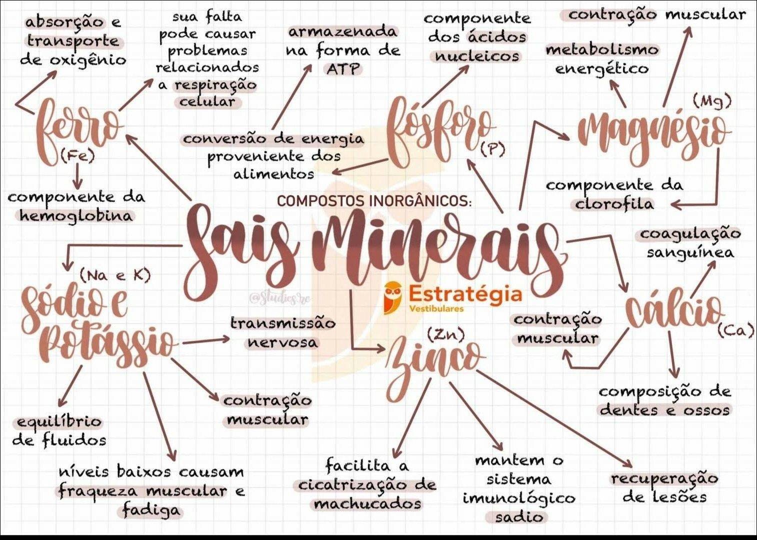 Mapas Mentais Sobre SAIS MINERAIS Study Maps