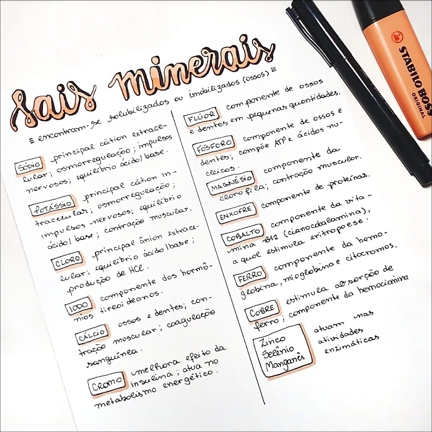 Mapas Mentais Sobre SAIS MINERAIS Study Maps