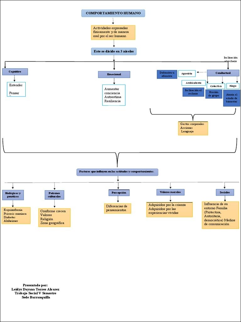 Mapas Mentais Sobre ALZHEIMER Study Maps