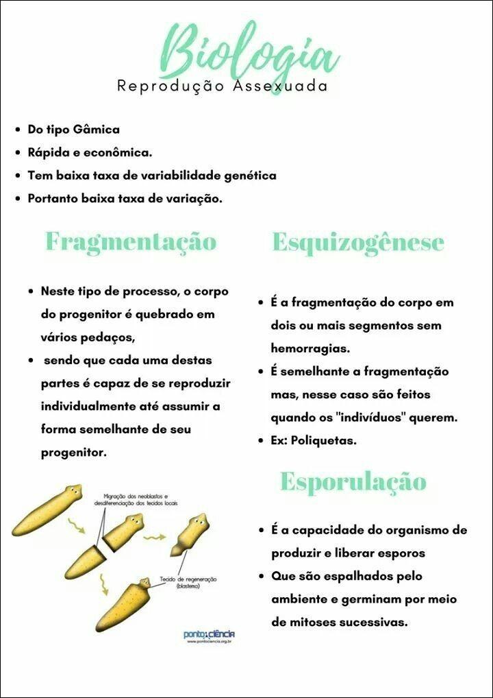 Mapas Mentais Sobre Reprodu O Assexuada Study Maps