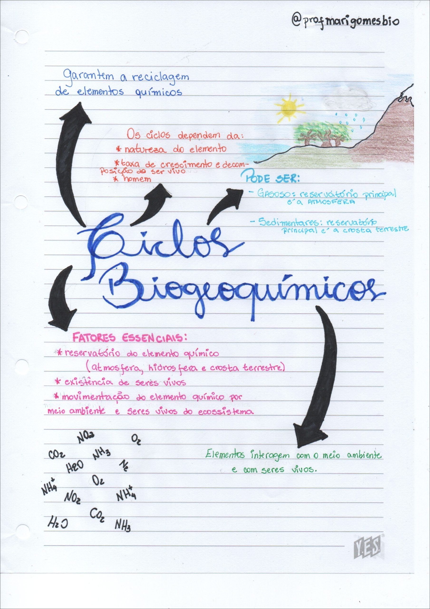 Mapas Mentais Sobre CICLOS BIOGEOQUIMICOS Study Maps