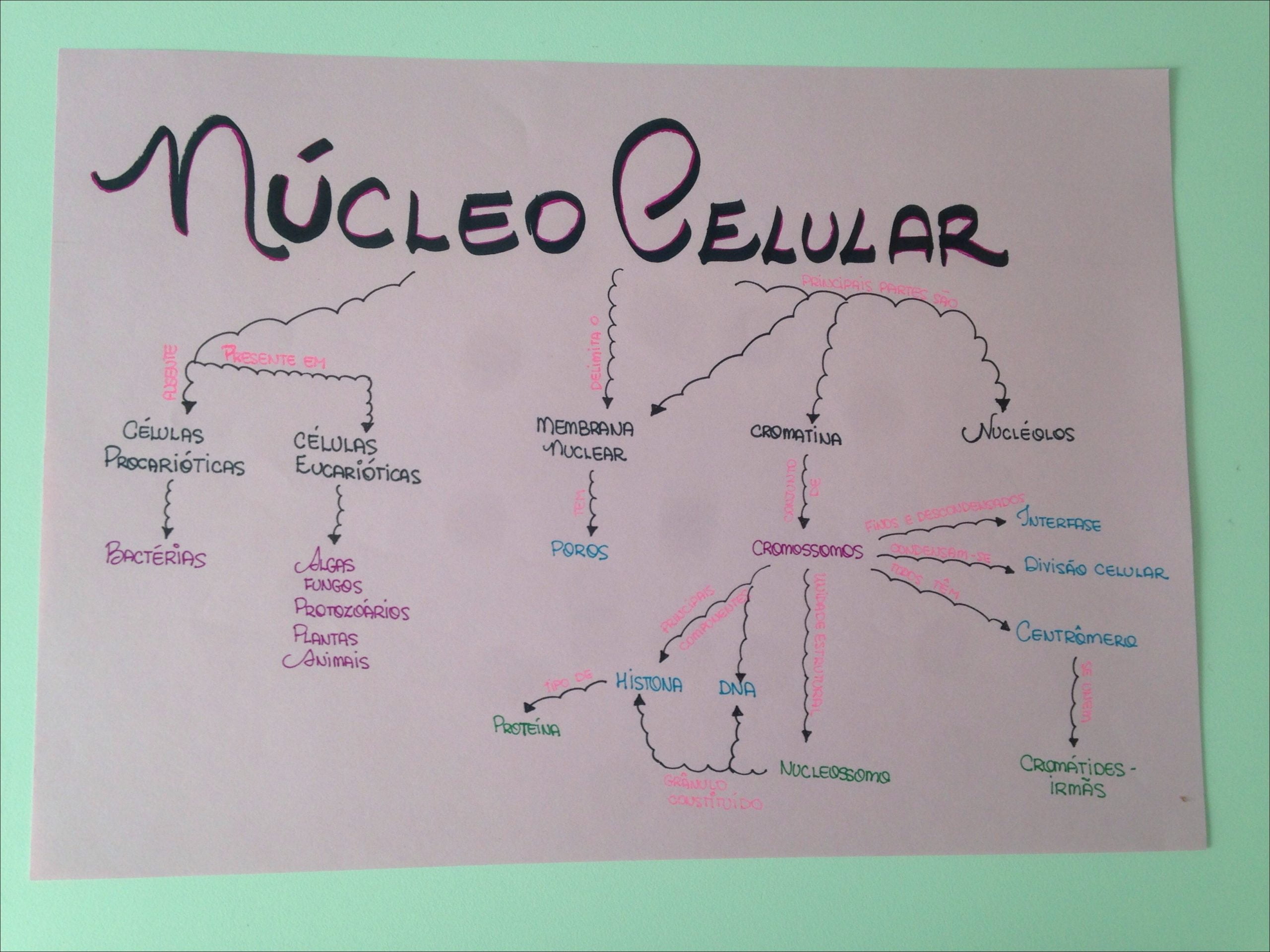 Mapas Mentais Sobre Nucleo Celular Study Maps