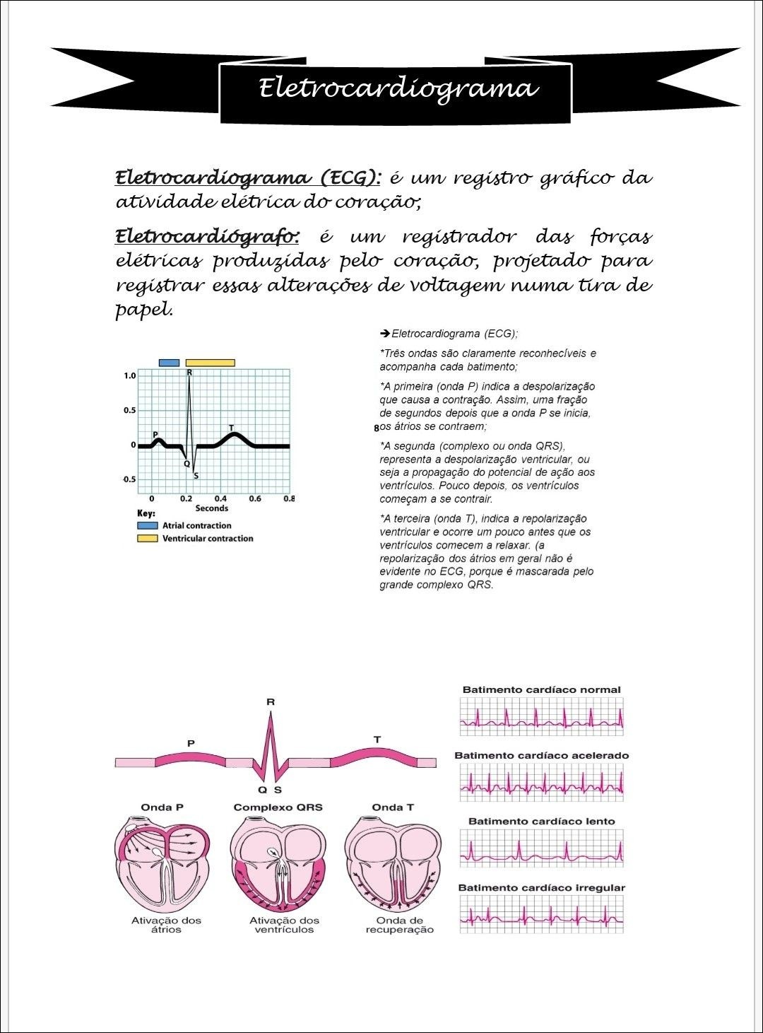 Mapas Mentais Sobre Eletrocardiograma Study Maps