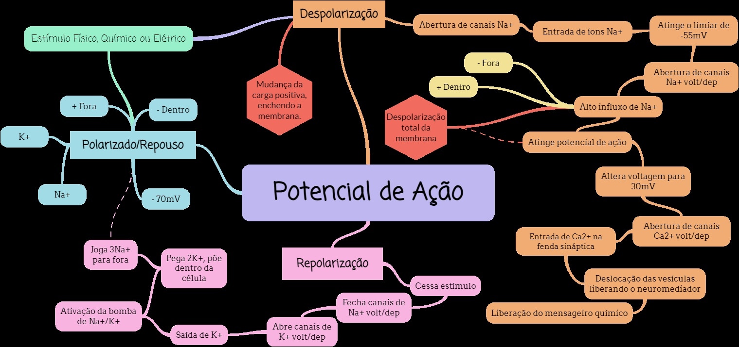 Mapas Mentais Sobre Potencial De A O Study Maps