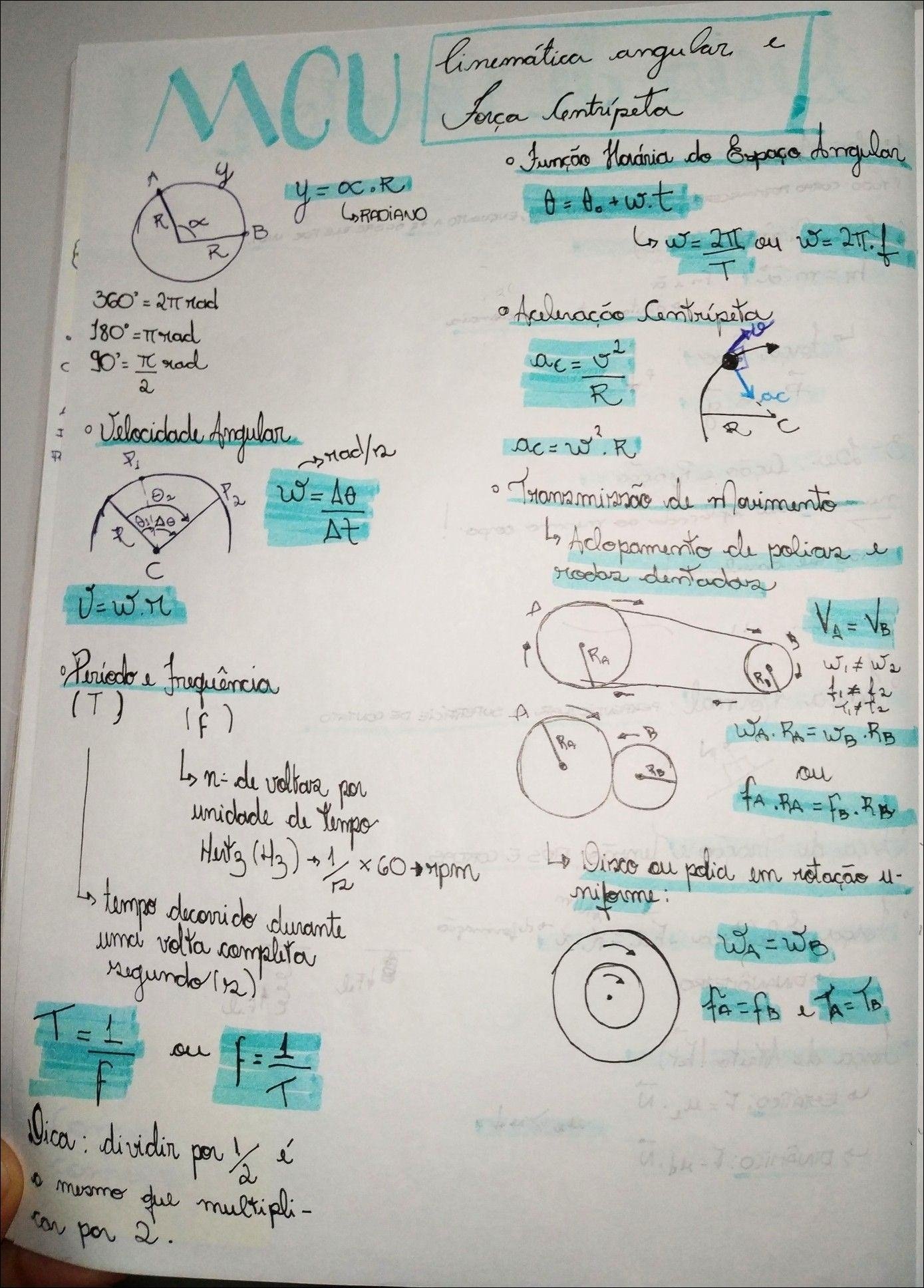 Mapas Mentais Sobre Polias Study Maps