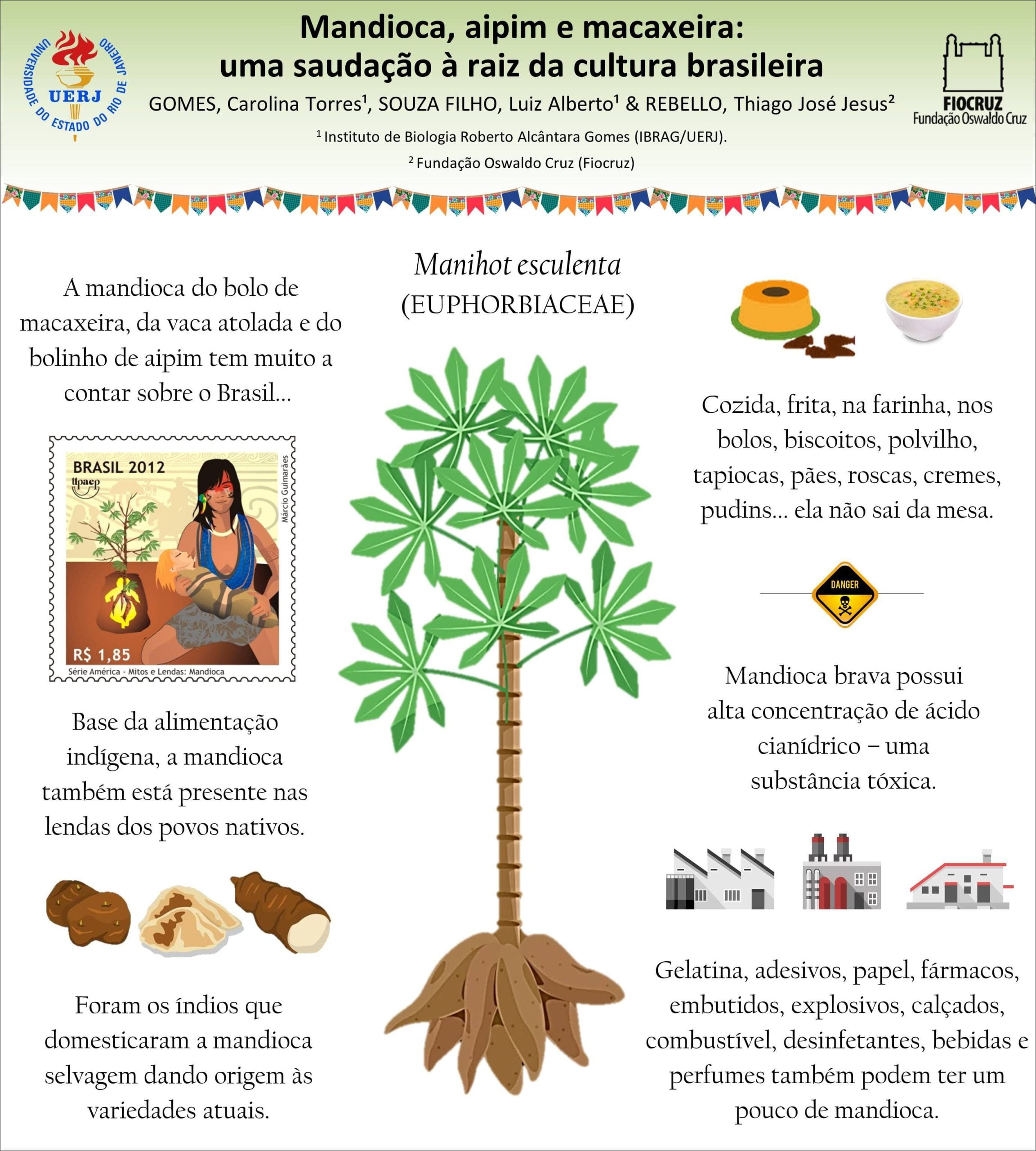 Mapas Mentais Sobre Cultura Brasileira Study Maps The Best Porn