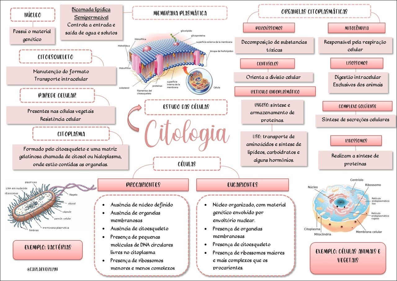 Mapas Mentais Sobre CITOLOGIA Study Maps