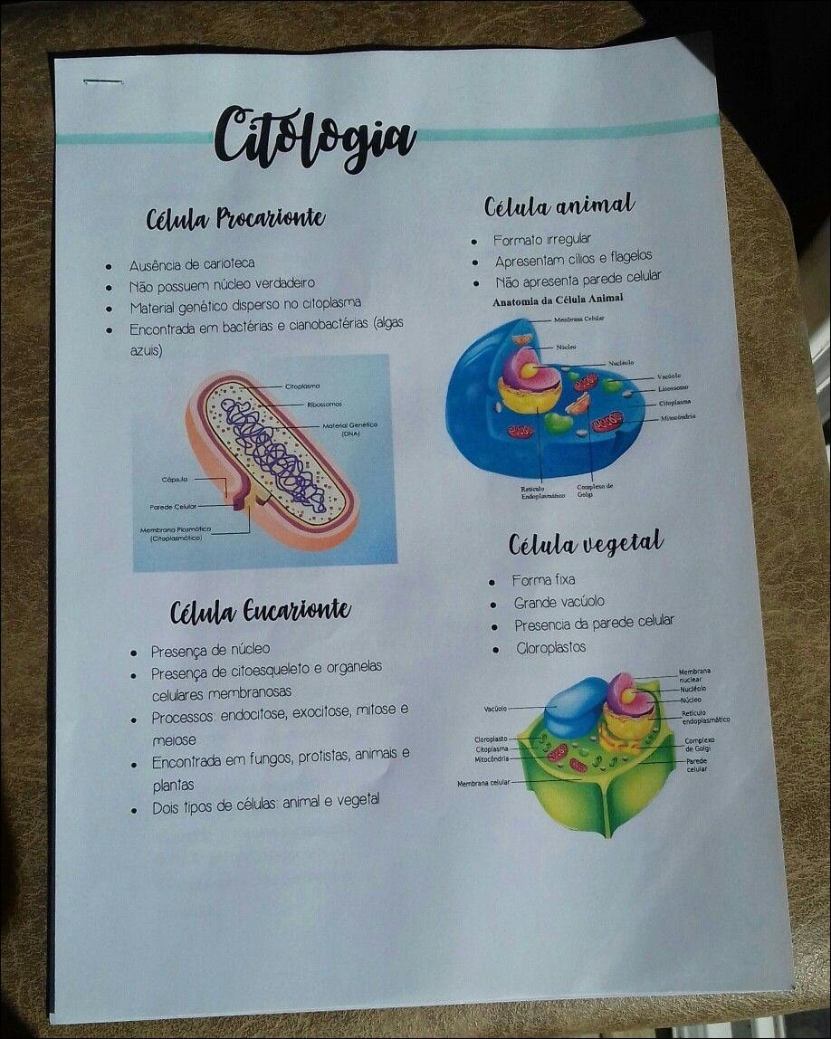 Mapas Mentais Sobre Citologia Study Maps