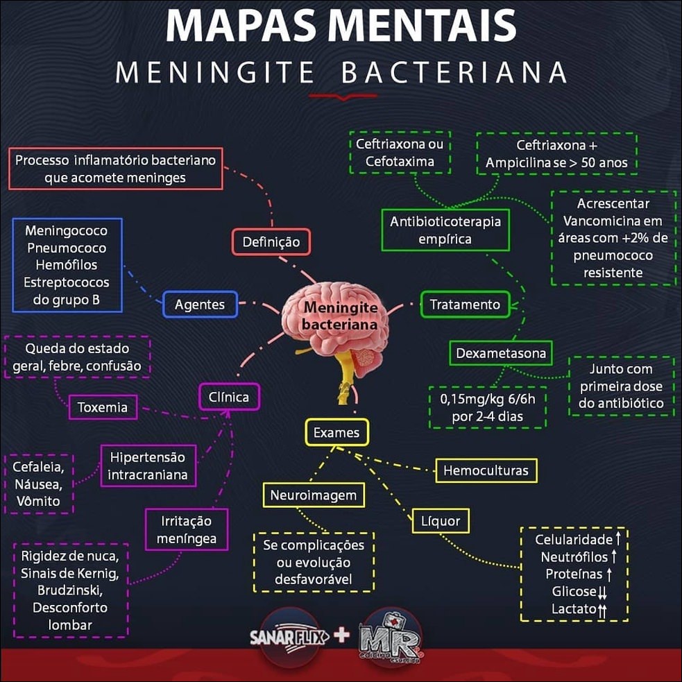 Mapas Mentais Sobre Meningite Study Maps