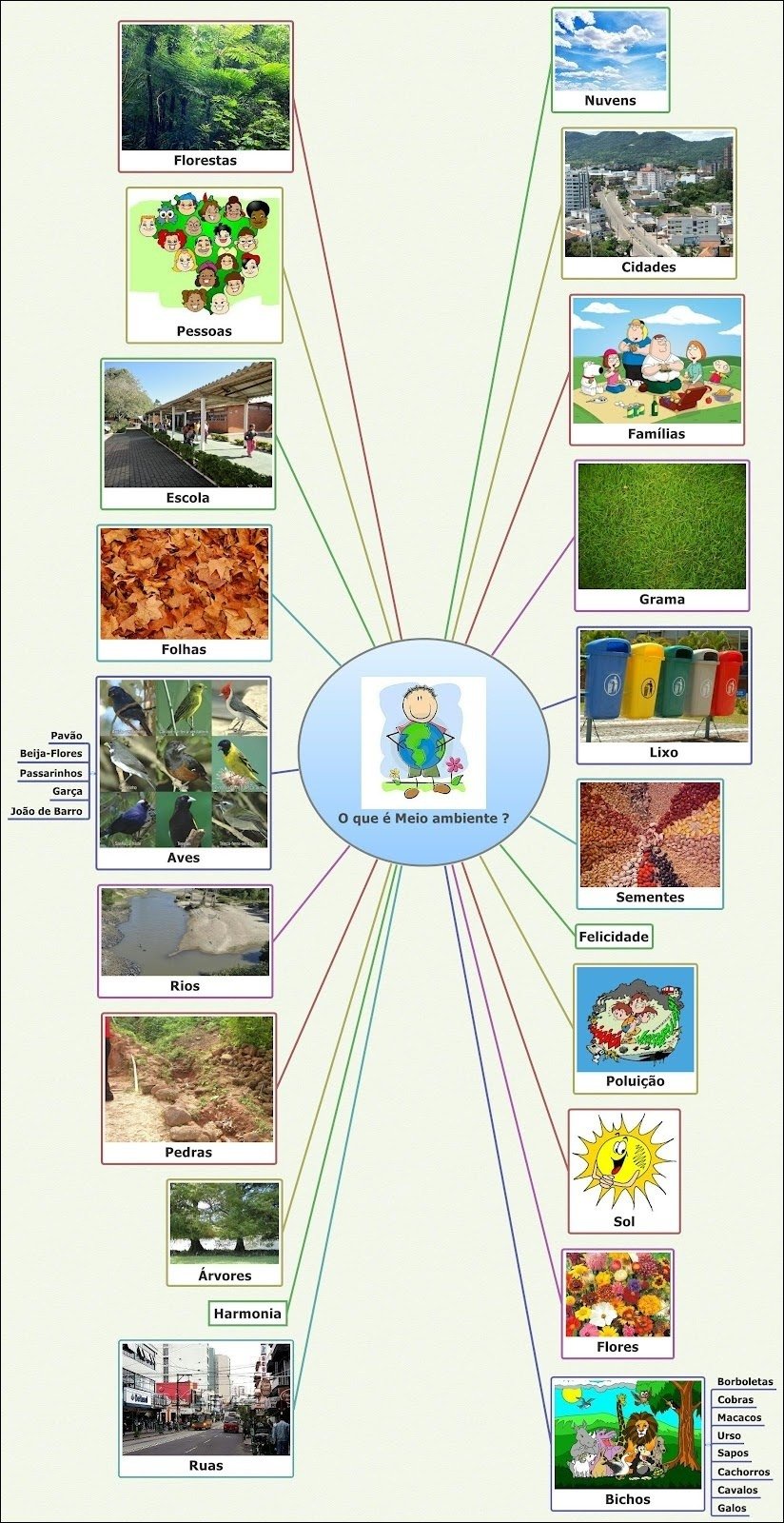 Mapas Mentais Sobre Meio Ambiente Study Maps